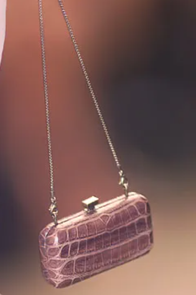 S/S 2002 Fendi by Karl Lagerfeld Runway Brown Crocodile Minaudiere Clutch Handbag