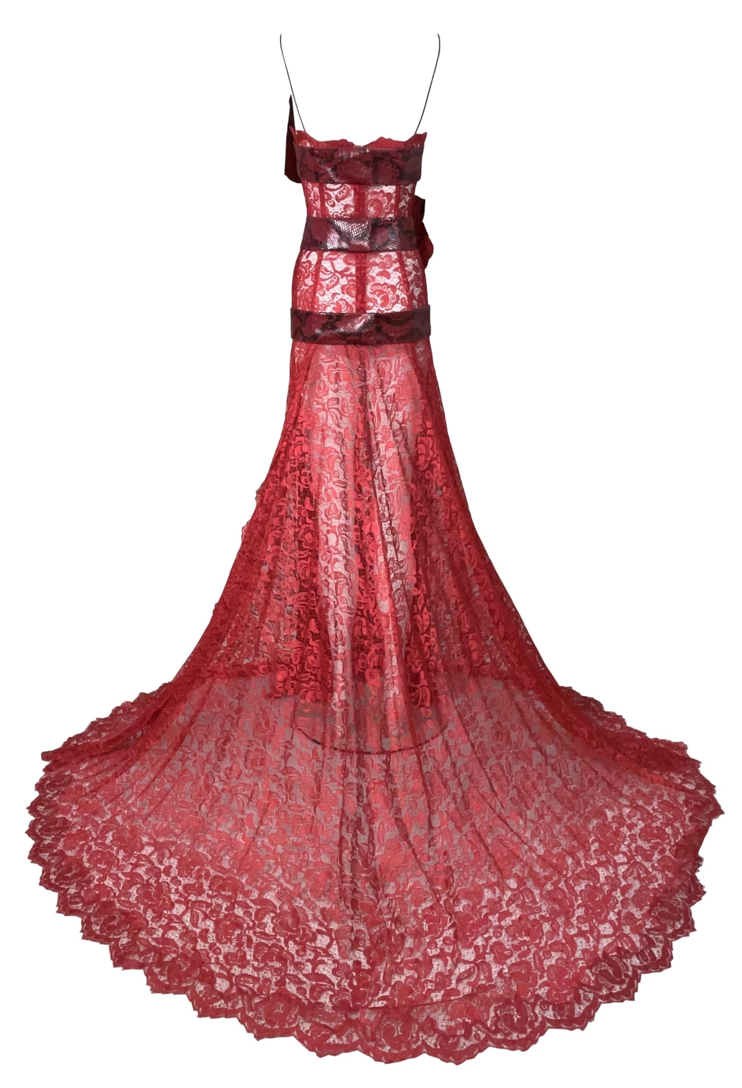 S/S 2005 Dolce & Gabbana Runway Sheer Red Lace Snakeskin & Velvet Bows Gown Dress w Train
