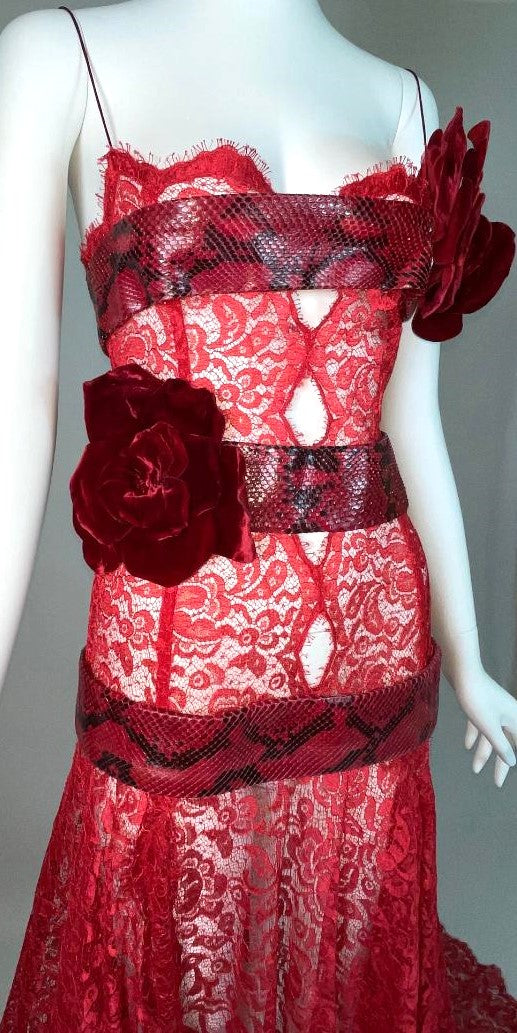 S/S 2005 Dolce & Gabbana Runway Sheer Red Lace Snakeskin & Velvet Bows Gown Dress w Train