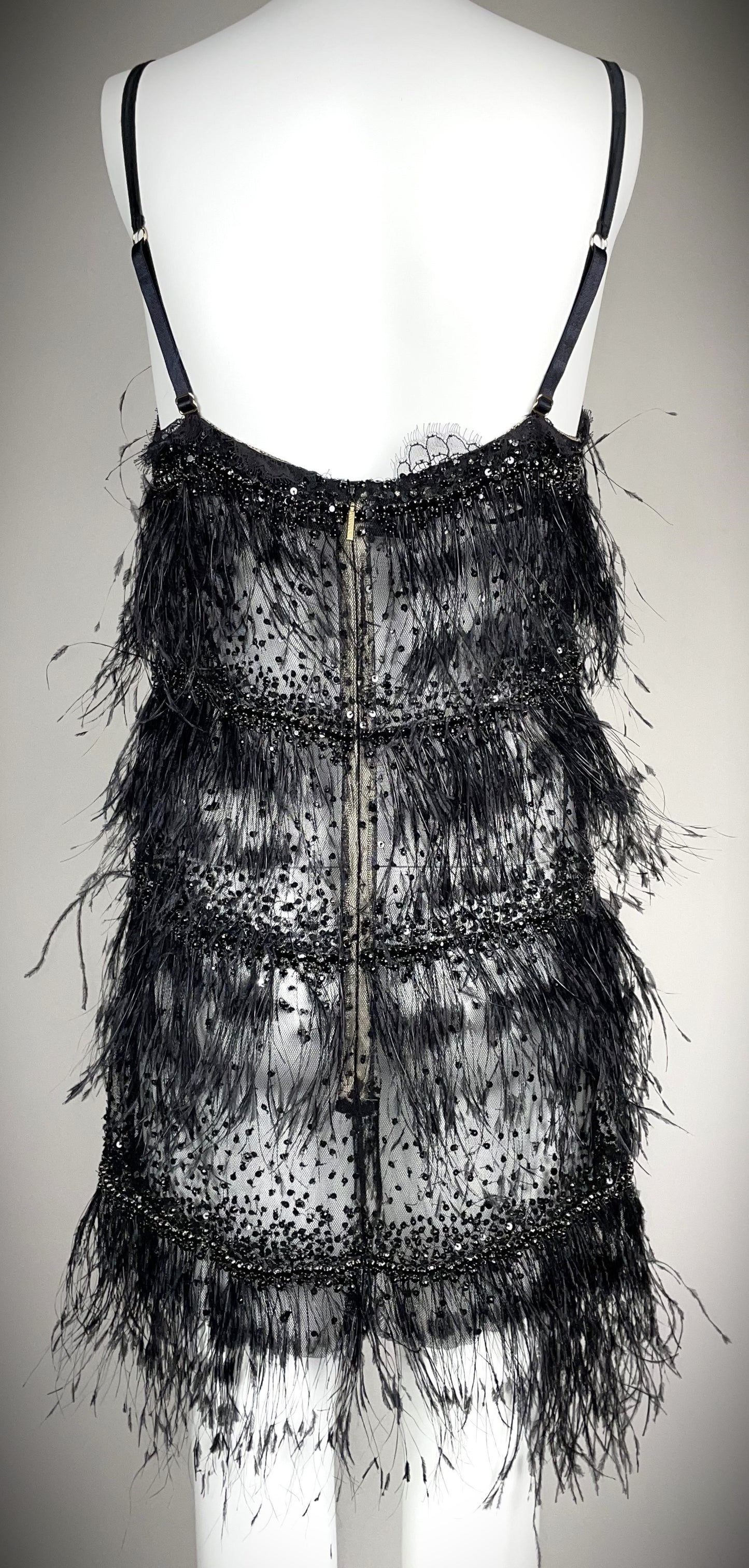 S/S 2006 Roberto Cavalli Runway Sheer Black Mesh & Lace Feather & Crystal Embellished Mini Dress