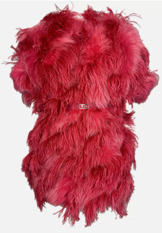 NWT S/S 2022 Fendi Runway Hot Pink Feather & Fox Fur Coat Jacket Dress