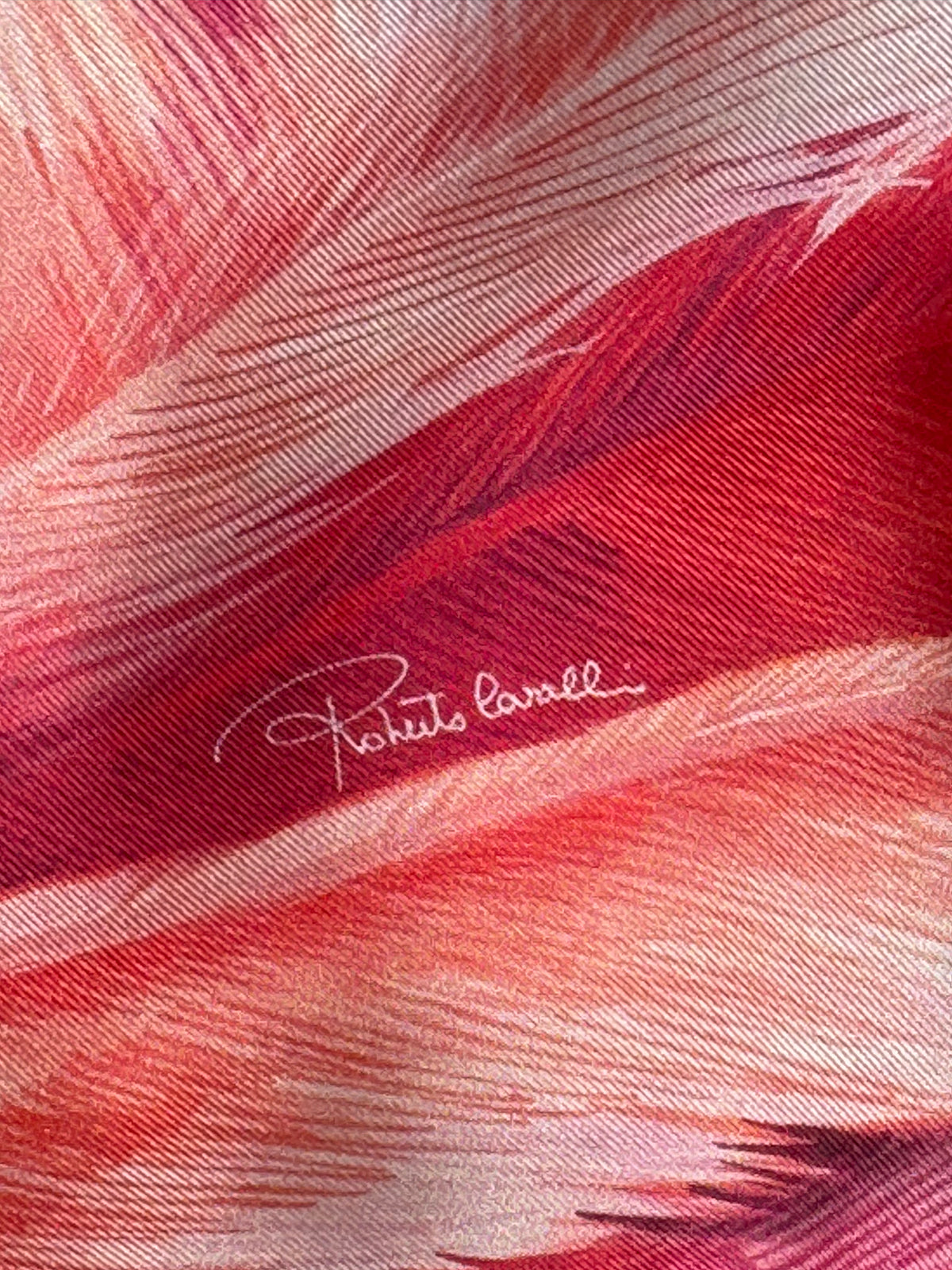 S/S 2024 Roberto Cavalli Runway Pink Feather Print & Polka Dot Reversible Silk Kimono Coat Dress