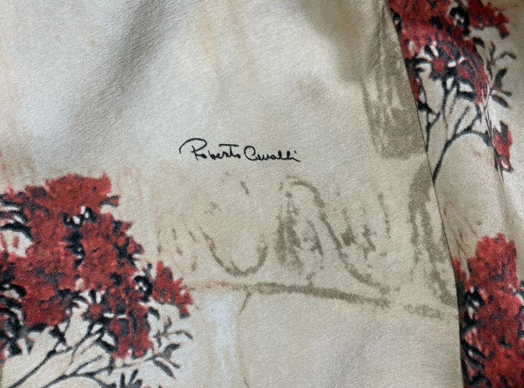 S/S 2004 Roberto Cavalli Runway Cut-Out Silk Mini Dress
