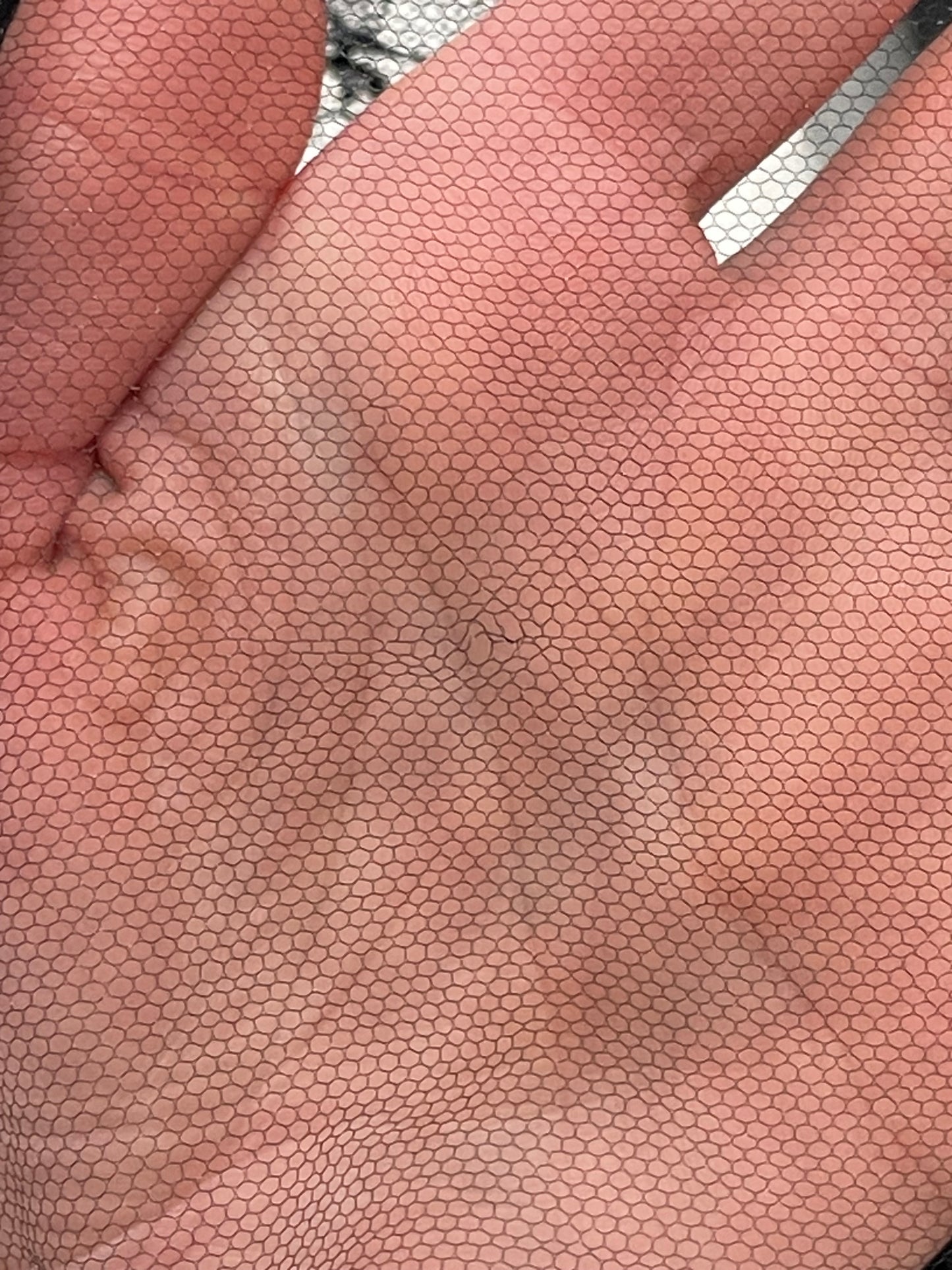 F/W 2002 Christian Dior x John Galliano Sheer Black Tulle & Lace Black Swan Goth Ballerina Maxi Dress