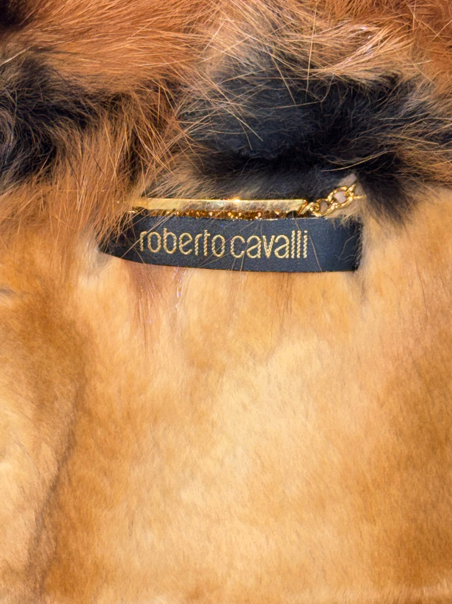 F/W 2006 Roberto Cavalli Runway Ombre Velvet Gold Glitter Sable Fur Vest Jacket