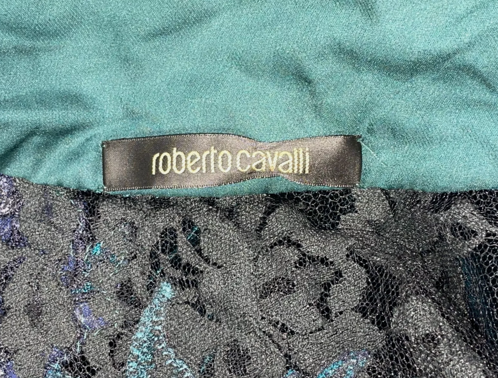 F/W 2006 Roberto Cavalli Runway Green Velvet Crystal Tattoo Mesh Gown Dress w Train