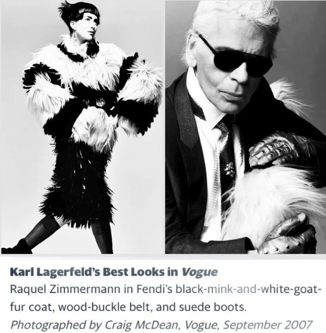 F/W 2007 Fendi by Karl Lagerfeld Runway Editorial Brown & White Shaggy Kidassia & Mink Fur Coat