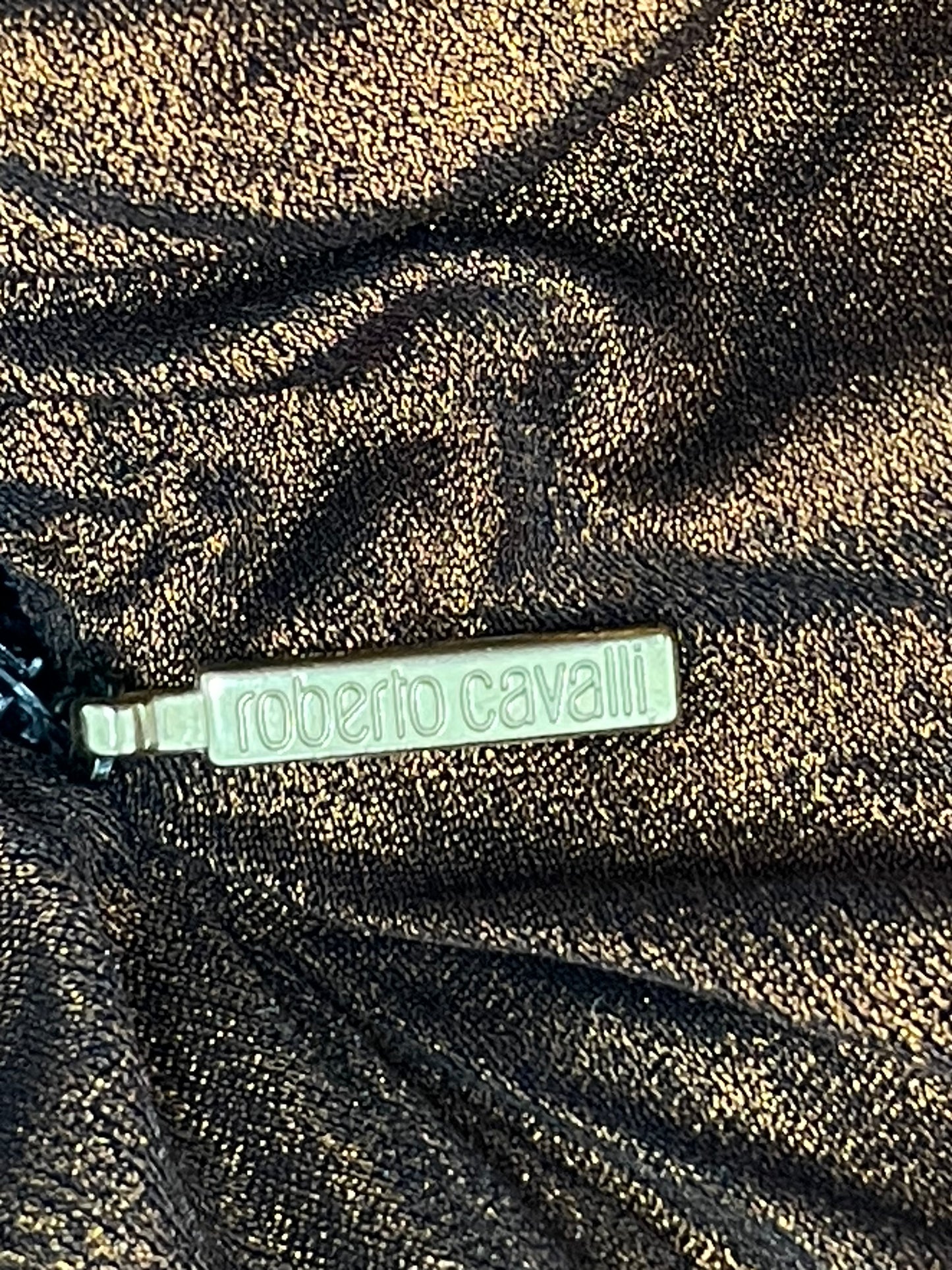 F/W 2007 Roberto Cavalli Runway Cleopatra Egyptian Plunge V-Neck Copper Fitted Maxi Dress